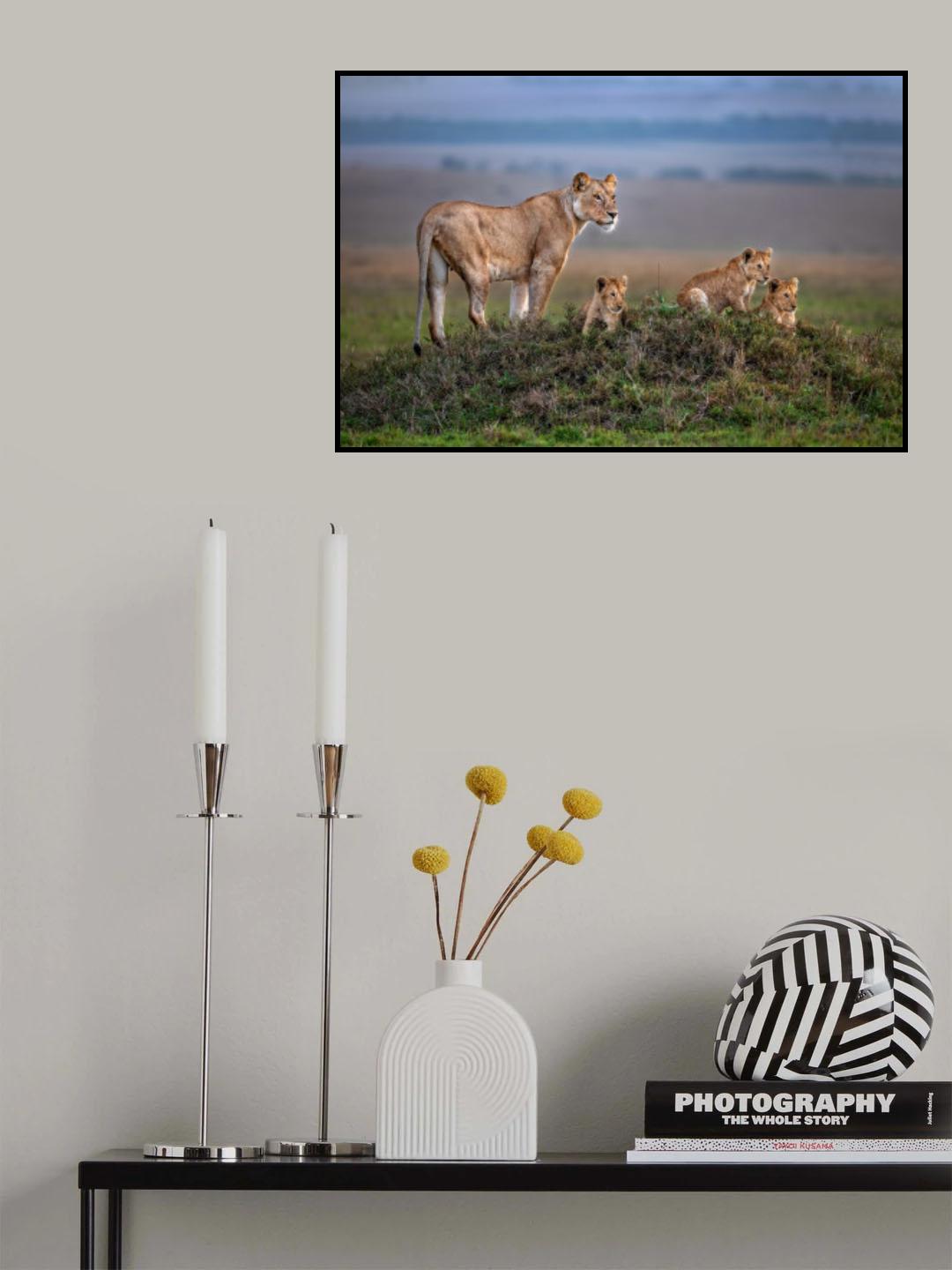 Lioness with cubs Poster och Canvastavla