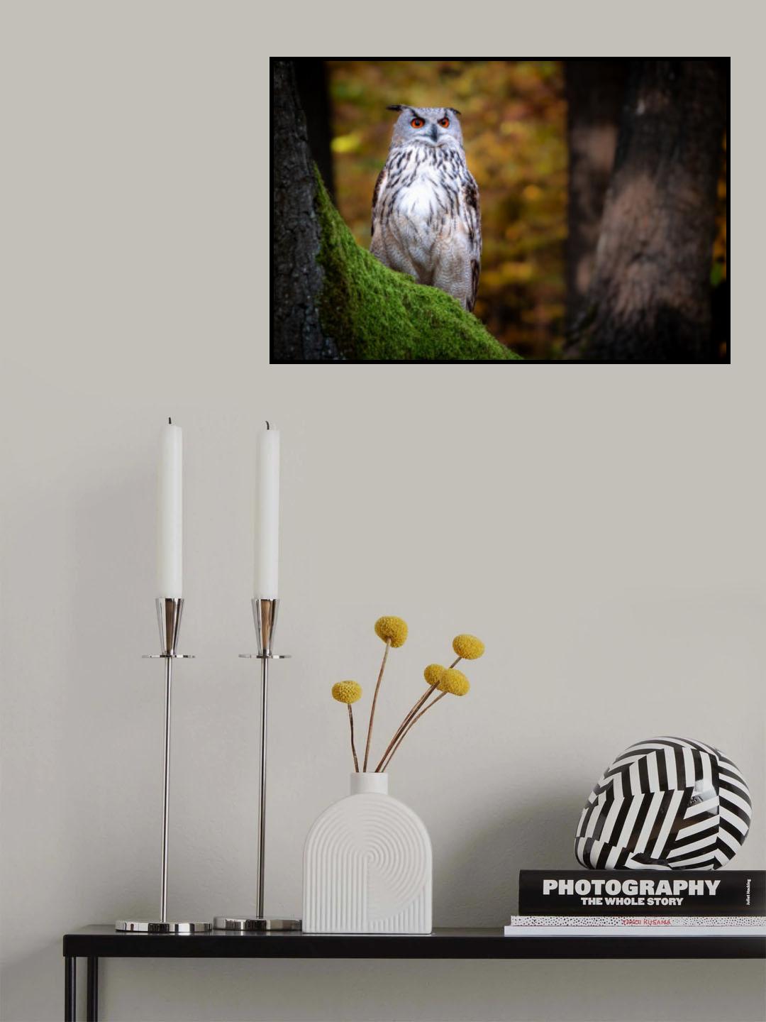 Look of Wisdom Poster och Canvastavla