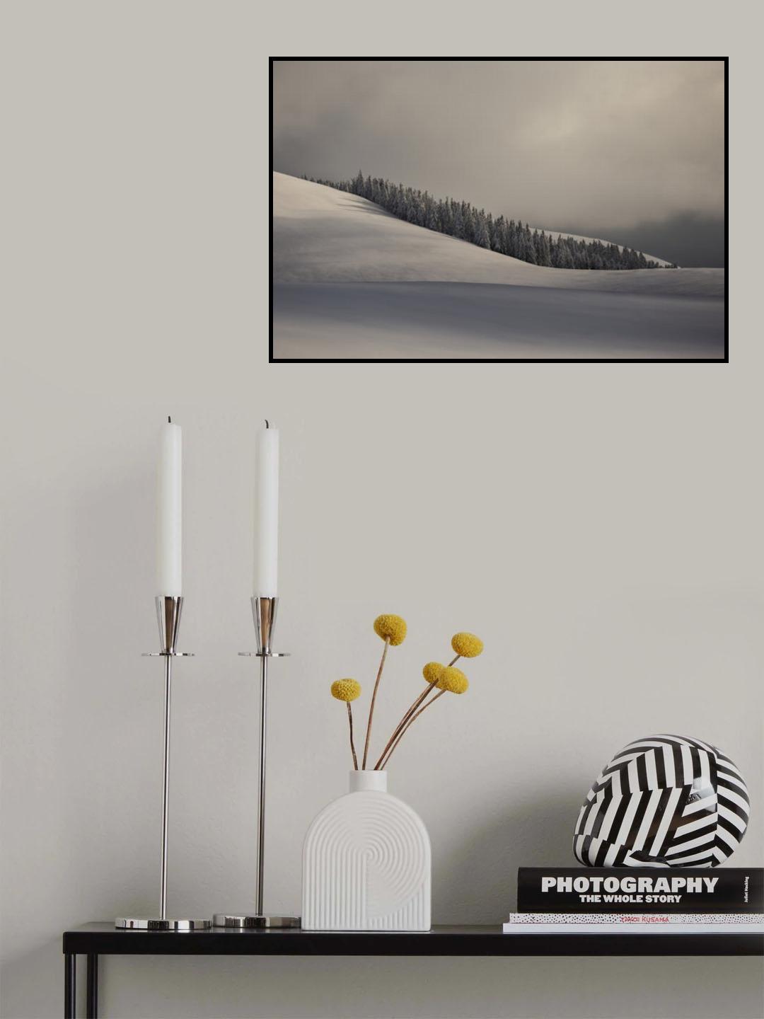 Oasis Poster och Canvastavla