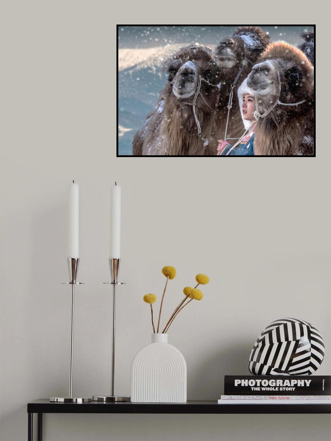 Camel toe 03 Poster och Canvastavla