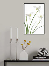 Purity Poster och Canvastavla