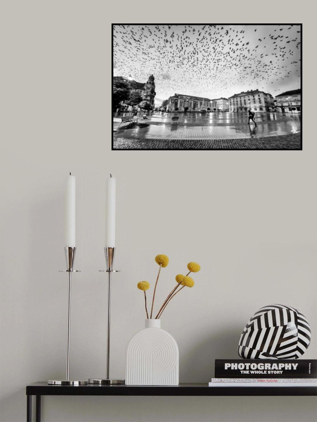 The City of Birds Poster och Canvastavla