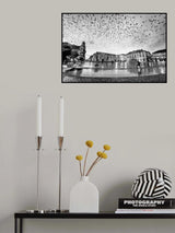 The City of Birds Poster och Canvastavla