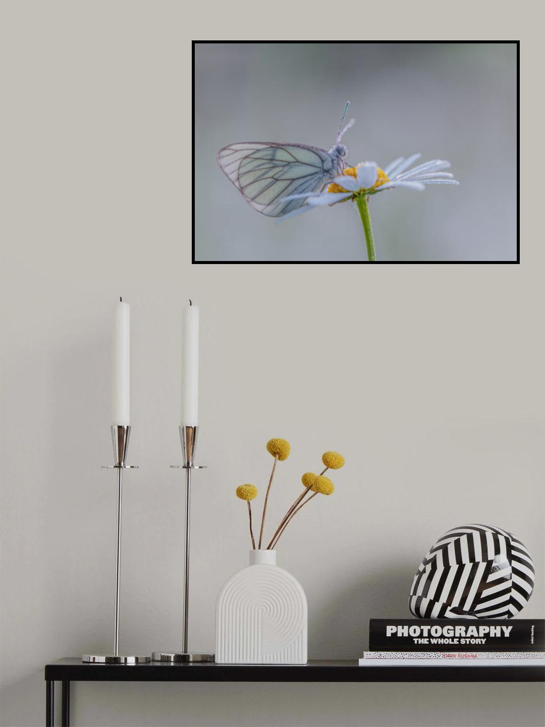 Morning dew Poster och Canvastavla