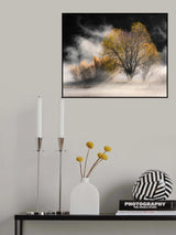 Winter essence Poster och Canvastavla