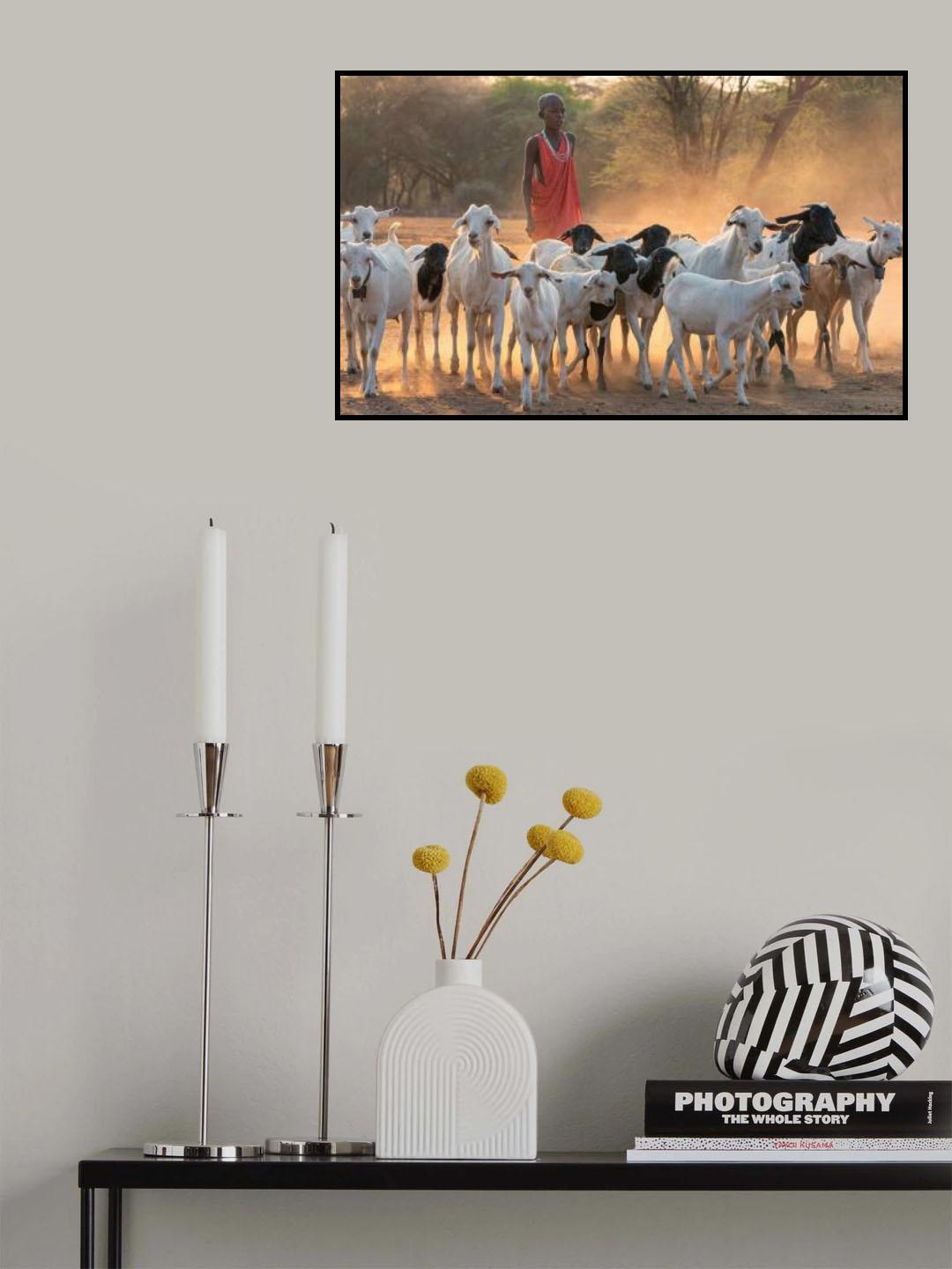 shepherd boy Poster och Canvastavla