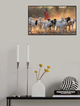 shepherd boy Poster och Canvastavla