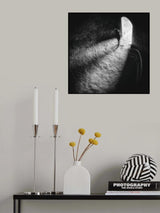 Not a dead end Poster och Canvastavla