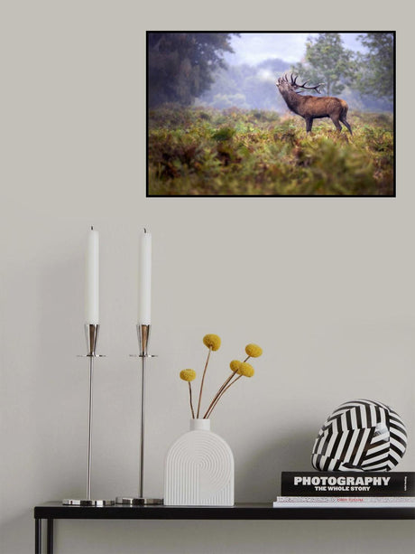 Scream in the rain Poster och Canvastavla