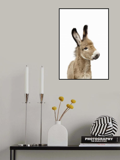 Baby Donkey Poster och Canvastavla