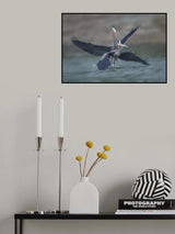 We Two Poster och Canvastavla