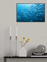 Confused Poster och Canvastavla