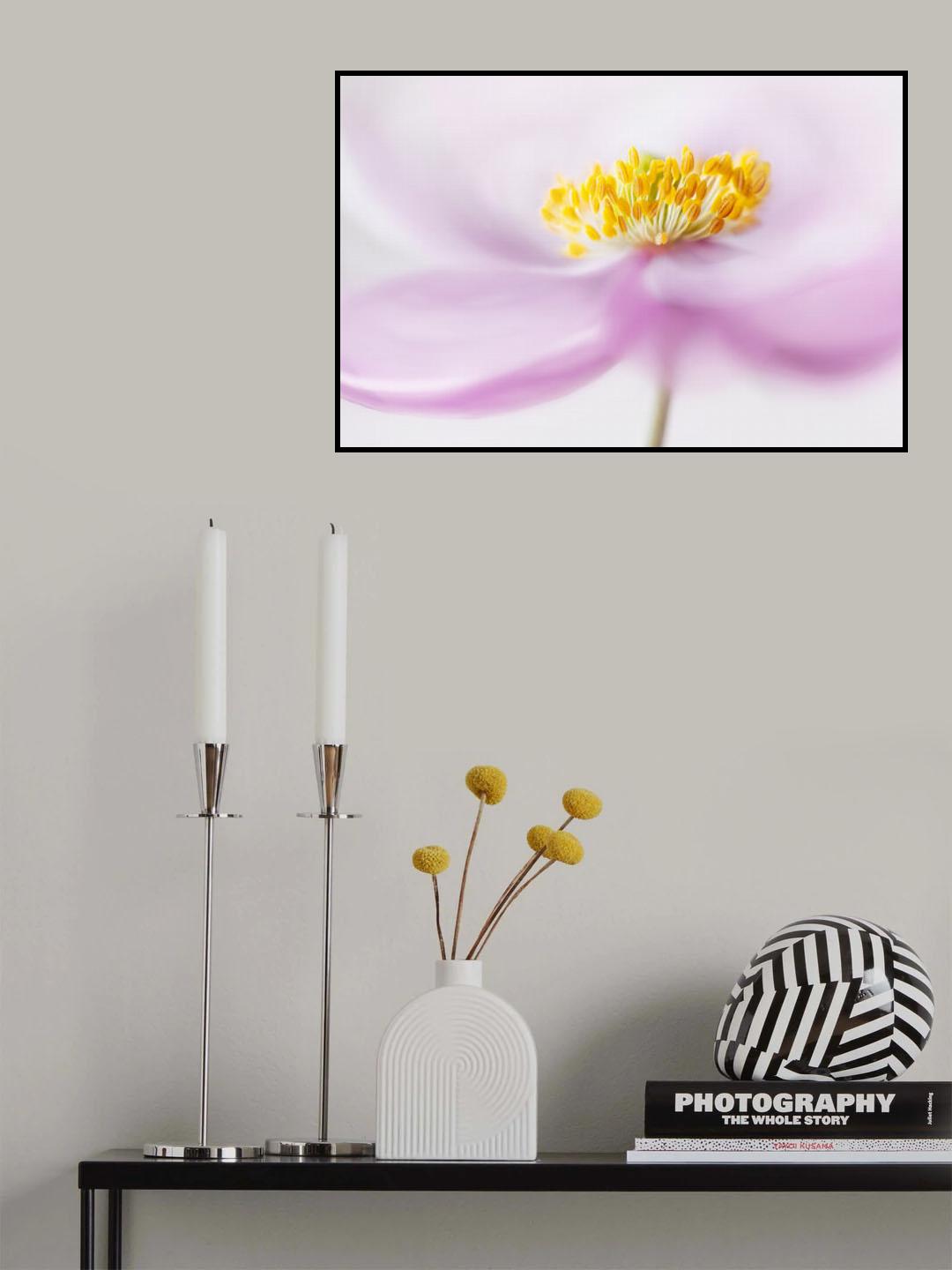 *Anemone* Poster och Canvastavla