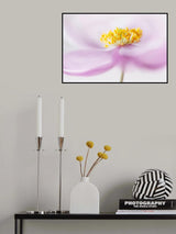 *Anemone* Poster och Canvastavla