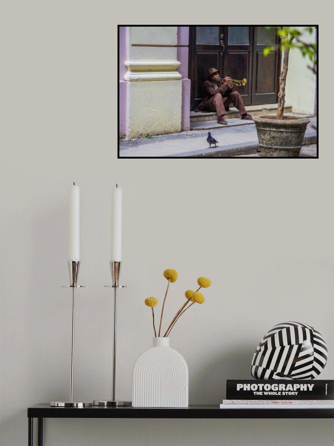 Playing for pigeons Poster och Canvastavla