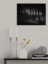 Foggy Night Poster och Canvastavla