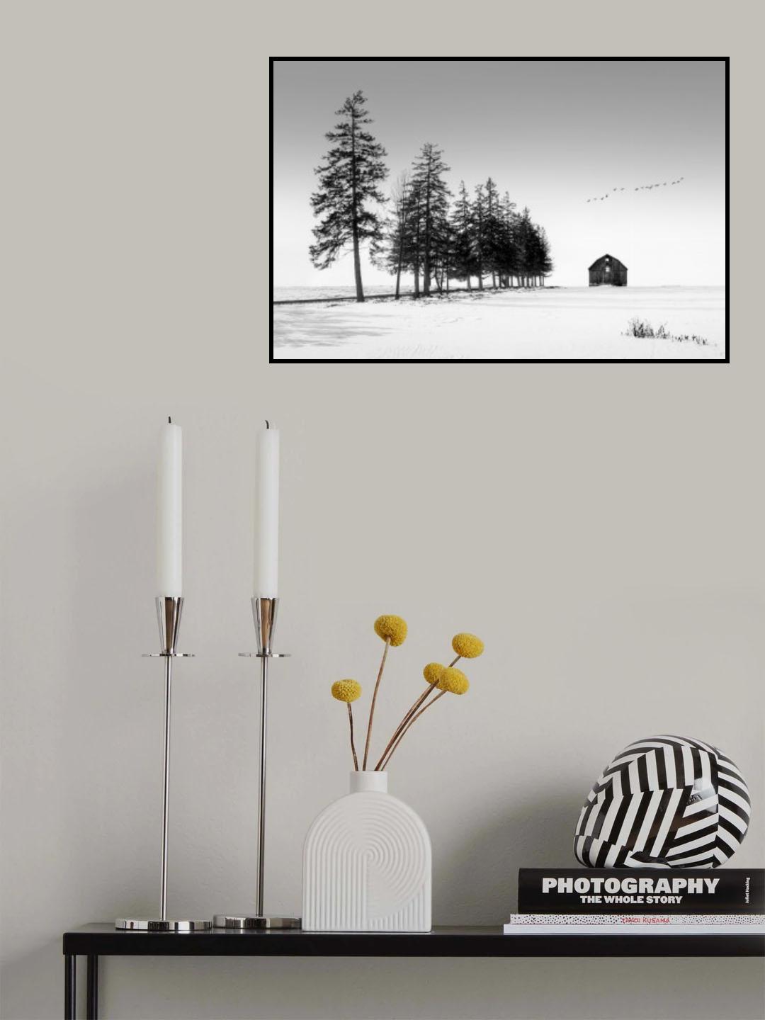 A Sunny Winter Day Poster och Canvastavla