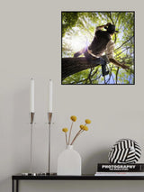Rodeo to the Sky Poster och Canvastavla