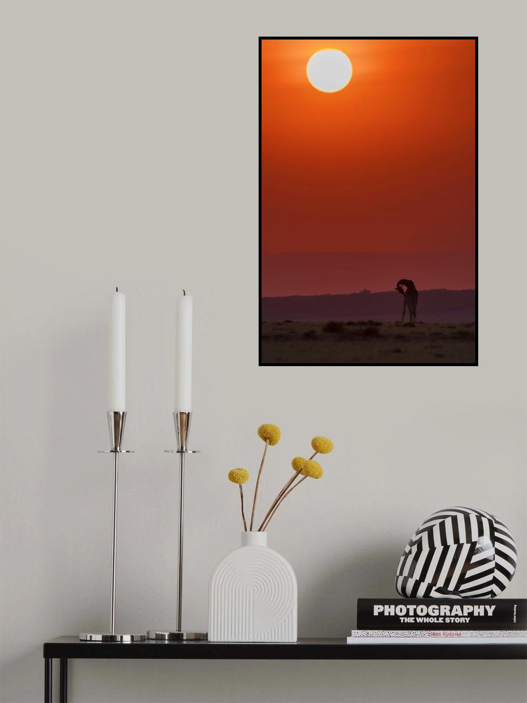 Sunset Bathing Poster och Canvastavla