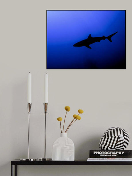 silhouette Poster och Canvastavla