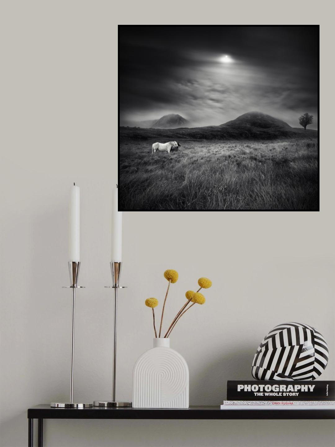 Strange Place To Be Poster och Canvastavla