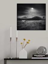 Strange Place To Be Poster och Canvastavla