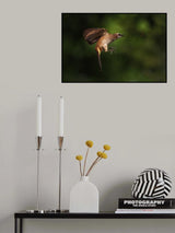 how to eat raw worm Poster och Canvastavla