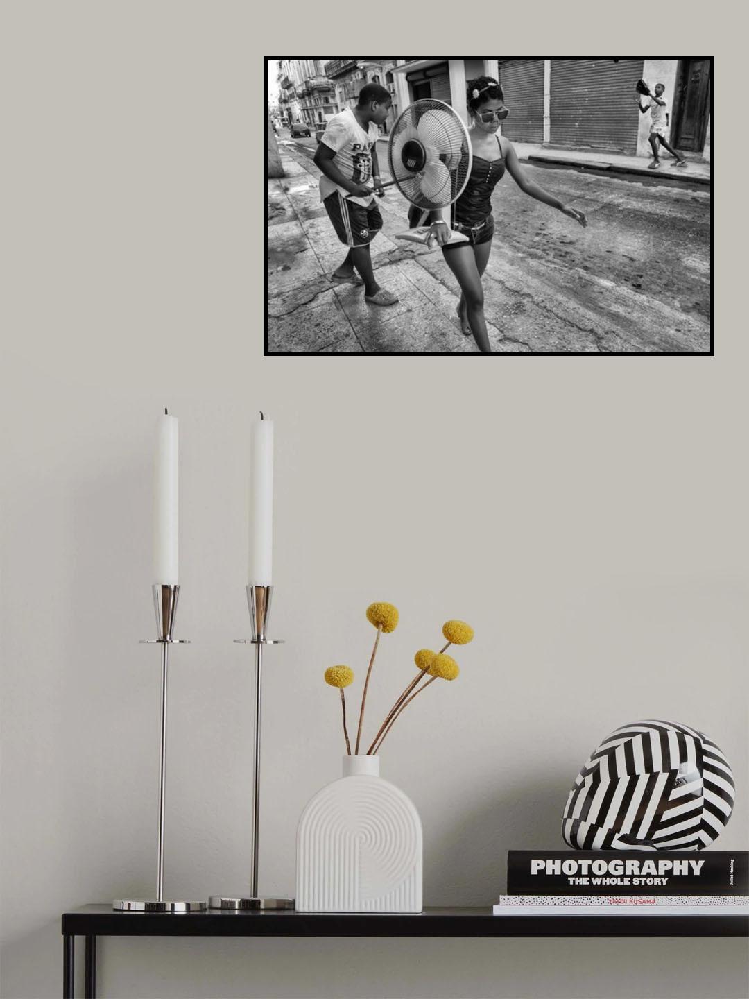s/t Poster och Canvastavla