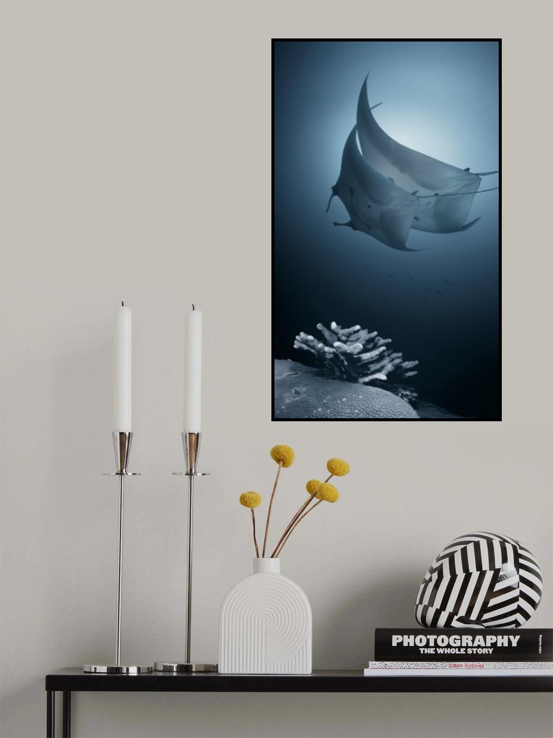 Sonata Poster och Canvastavla