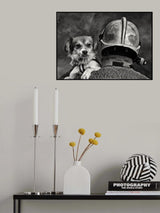 Dog's Best Friend. Poster och Canvastavla