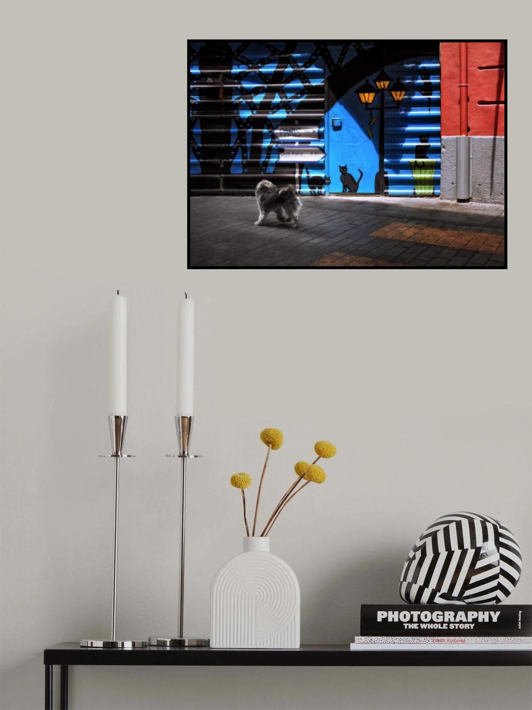 The street cats. Poster och Canvastavla