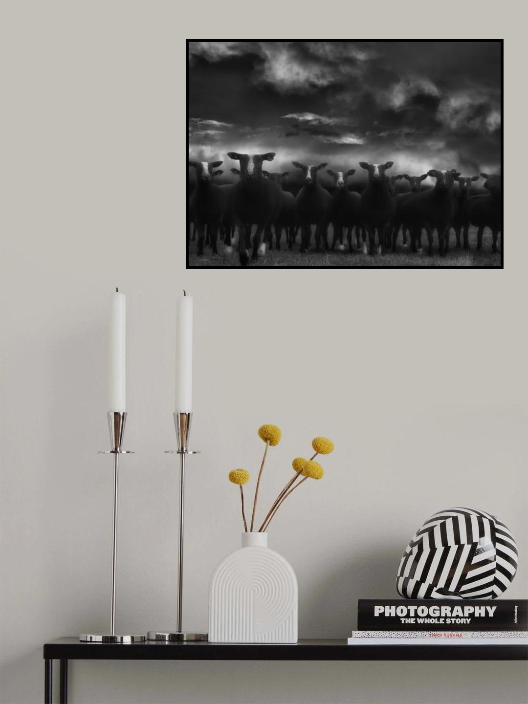 Looking for a shelter Poster och Canvastavla