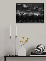 Looking for a shelter Poster och Canvastavla