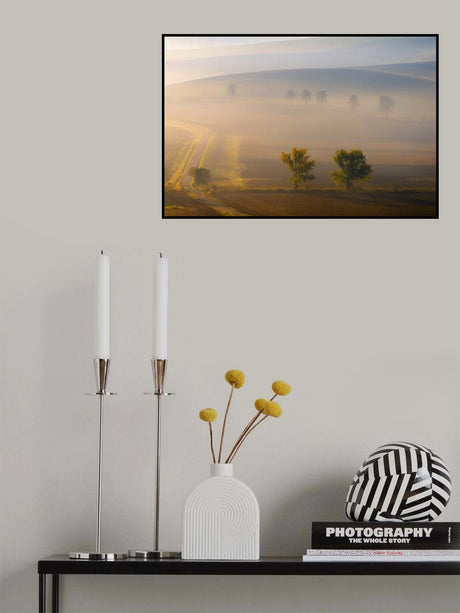 in the fog Poster och Canvastavla