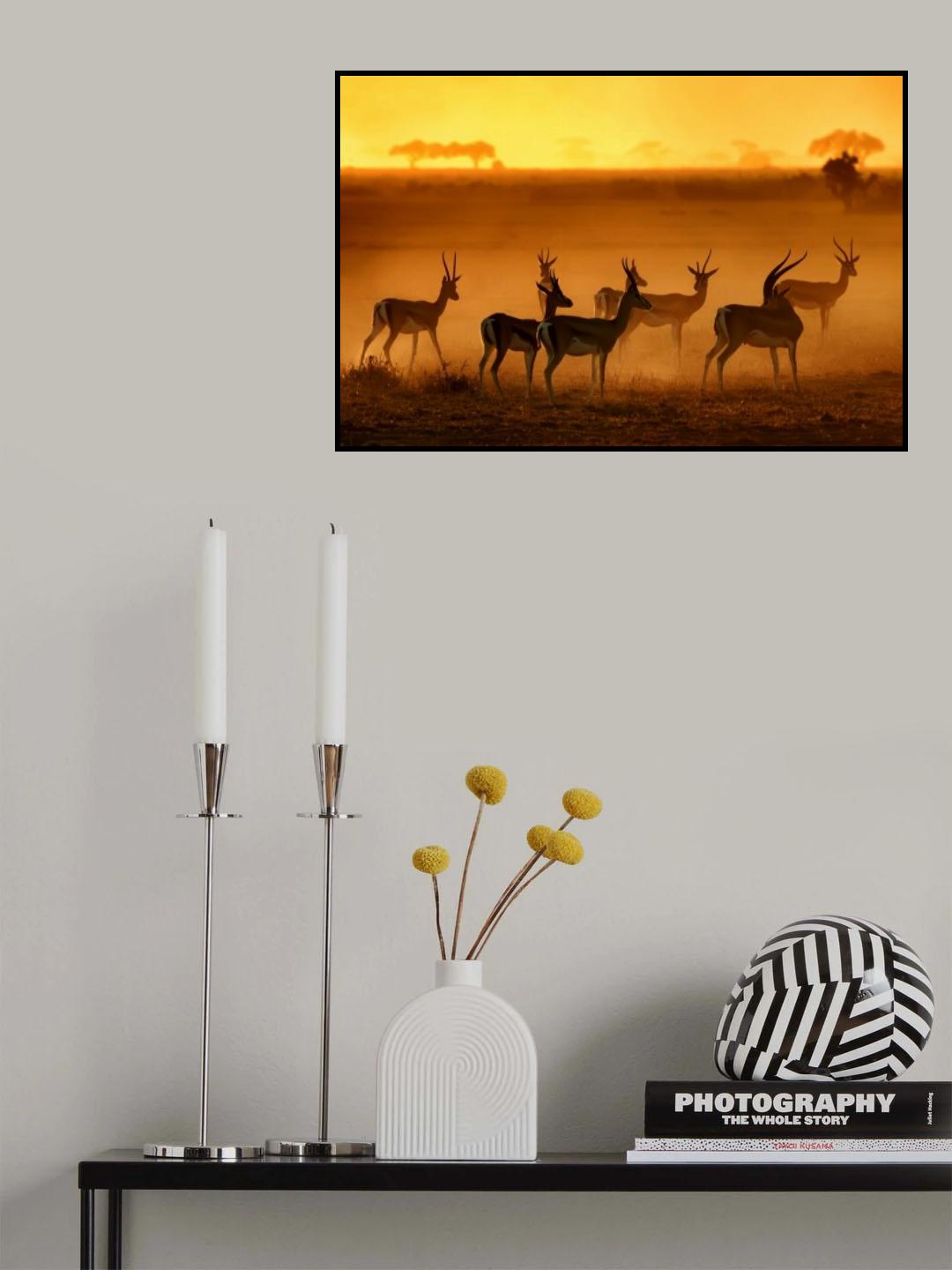 Golden Light Poster och Canvastavla