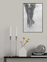 Beautiful Shape Poster och Canvastavla