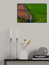 Summer lines Poster och Canvastavla