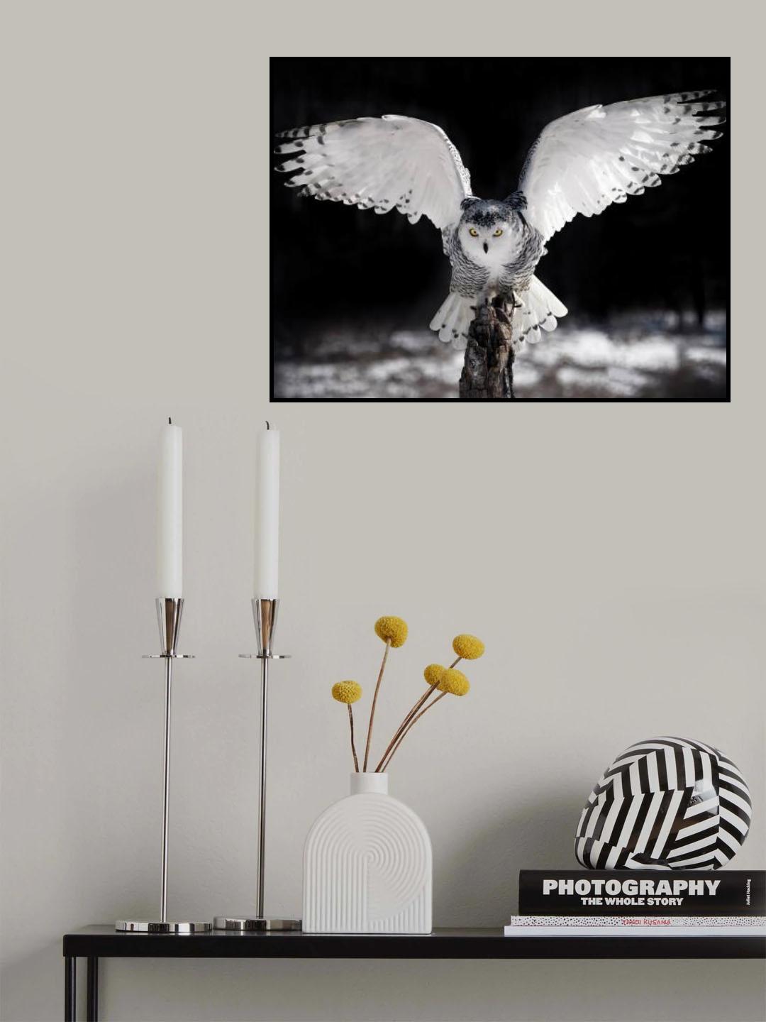 The Wings Poster och Canvastavla