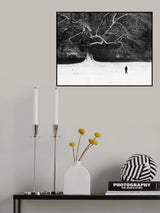 Walk in black and white. Poster och Canvastavla