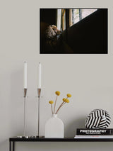 Toby patiently waiting for my mum to come back home. Poster och Canvastavla