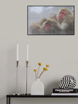 Looking for Fleas Poster och Canvastavla