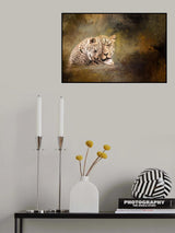 Cuddle Poster och Canvastavla