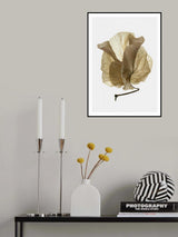 Bougainvillea Study No5 Poster och Canvastavla