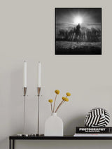 Morning light Poster och Canvastavla