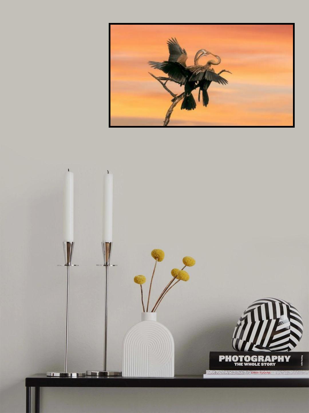 Beak to beak Poster och Canvastavla