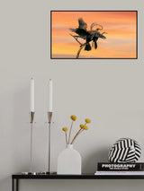 Beak to beak Poster och Canvastavla