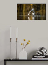 Happy Wings Poster och Canvastavla
