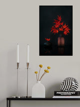 Red Maple leaves Poster och Canvastavla