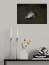 " A Saudade "  from  "Oníria" a co project with the plastic artist Sílvia Patr Poster och Canvastavla