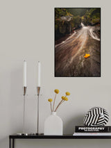 Yellow leaf Poster och Canvastavla